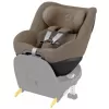 Barva 2025 Authentic Truffle